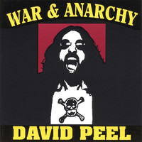Thumbnail for the Wayne Kramer - War And Anarchy link, provided by host site