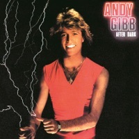 Thumbnail for the Andy Gibb - Warm Ride link, provided by host site