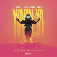 Thumbnail for the The Funk Hunters - Warn Ya (Jay Robinson Remix) link, provided by host site