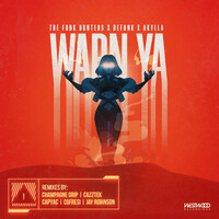 Thumbnail for the The Funk Hunters - Warn Ya (Remixes) link, provided by host site