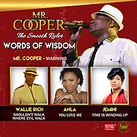 Thumbnail for the Mr Cooper - Warning link, provided by host site