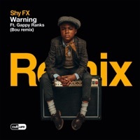 Thumbnail for the Shy FX - Warning [Bou Remix] link, provided by host site