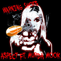 Thumbnail for the Aspect - Warning Shots link, provided by host site