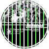Thumbnail for the Darpa - Wash Again link, provided by host site
