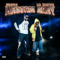 Thumbnail for the Rob49 - Wassam Baby (with Lil Wayne) link, provided by host site