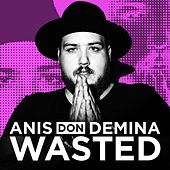 Thumbnail for the Anis Don Demina - Wasted link, provided by host site
