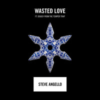 Thumbnail for the Steve Angello - Wasted Love link, provided by host site
