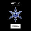 Thumbnail for the Steve Angello - Wasted Love link, provided by host site