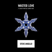 Thumbnail for the Steve Angello - Wasted Love link, provided by host site