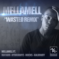 Thumbnail for the Mellamell - Wasted - Remix link, provided by host site