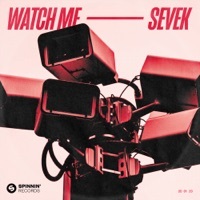 Image of SEVEK linking to their artist page due to link from them being at the top of the main table on this page