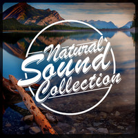 Thumbnail for the Outside Broadcast Recordings - Water link, provided by host site