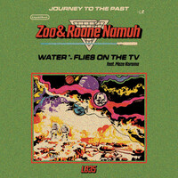 Thumbnail for the Zoo - Water / Flies On the TV link, provided by host site