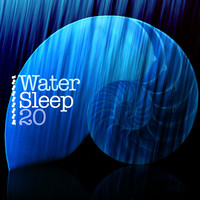Image of Waterscapes linking to their artist page due to link from them being at the top of the main table on this page