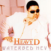Thumbnail for the Heavy D - Waterbed Hev link, provided by host site