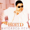 Thumbnail for the Heavy D - Waterbed Hev link, provided by host site