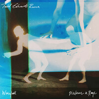 Thumbnail for the Disclosure - Waterfall (Todd Edwards Remix) link, provided by host site
