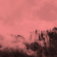 Thumbnail for the TBC - Wave link, provided by host site