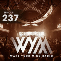 Thumbnail for the Perry O'Neil - Wave Force (Throwback) (WYM237) - Radio Edit link, provided by host site