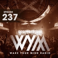 Thumbnail for the Perry O'Neil - Wave Force (Throwback) (Wym237) [Radio Edit] link, provided by host site