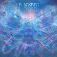 Thumbnail for the Blackbird Blackbird - Waves link, provided by host site