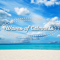 Thumbnail for the Ocean Waves For Sleep - Waves of Calmness link, provided by host site