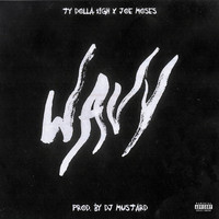 Thumbnail for the Ty Dolla $ign - Wavy link, provided by host site