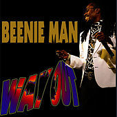 Thumbnail for the Beenie Man - Way Out link, provided by host site