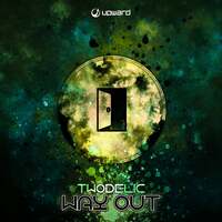 Thumbnail for the Twodelic - Way Out link, provided by host site