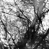 Thumbnail for the Grouper - Way Their Crept link, provided by host site