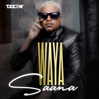 Thumbnail for the T-Sean - Waya Saana link, provided by host site
