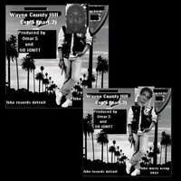 Thumbnail for the Omar S - Wayne County Hill Cop's, Pt. .2 link, provided by host site