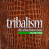 Thumbnail for the Soul Conspiracy - We Are Coming (Dub Mix) link, provided by host site