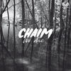 Image of Chaim linking to their artist page due to link from them being at the top of the main table on this page