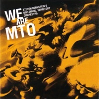 Thumbnail for the Steven Bernstein's Millennial Territory Orchestra - We Are MTO link, provided by host site