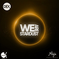 Thumbnail for the Dex - We Are Stardust link, provided by host site