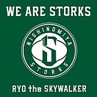 Thumbnail for the Ryo the Skywalker - We Are Storks link, provided by host site