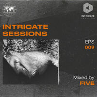 Thumbnail for the Envotion - We Are the Universe - Tali Muss Dub Mix - Mixed link, provided by host site