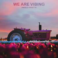 Thumbnail for the Angelo Draetta - We Are Vibing link, provided by host site
