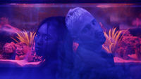 Thumbnail for the What So Not - We Can Be Friends link, provided by host site