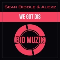 Thumbnail for the Sean Biddle - We Got Dis link, provided by host site