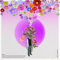Thumbnail for the more - We'll be able to bloom this year link, provided by host site