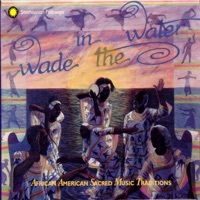 Thumbnail for the Toshi Reagon - We'll Understand It Better link, provided by host site