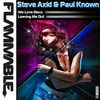 Thumbnail for the Steve Axid - We Love Disco link, provided by host site