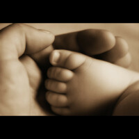 Thumbnail for the Peter Knight - We Made a Life link, provided by host site