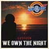 Thumbnail for the Geyster - We Own the Night link, provided by host site