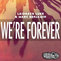 Thumbnail for the Laidback Luke - We're Forever link, provided by host site