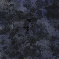 Thumbnail for the Final Request - We're Over link, provided by host site