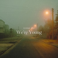 Thumbnail for the Icona Pop - We're Young link, provided by host site