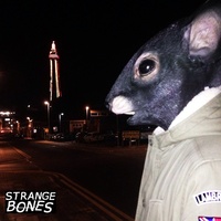 Thumbnail for the Strange Bones - We The Rats link, provided by host site